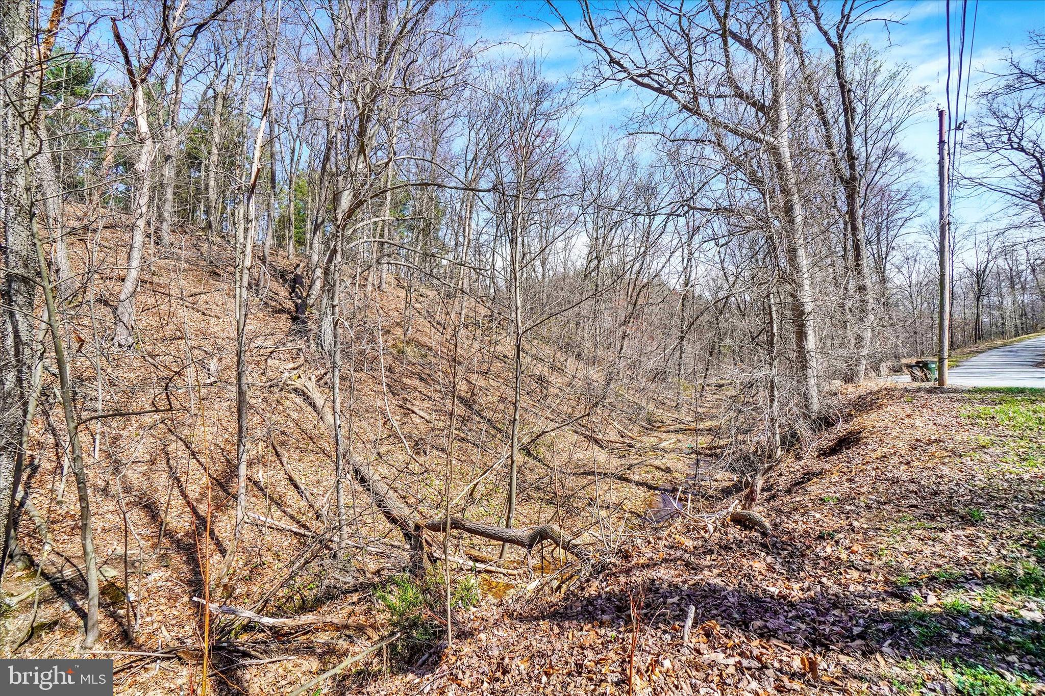82 Fox Creek Road Wrightsville, PA 17368 - Photo 29 of 32 a backyard of a house with lots of green space