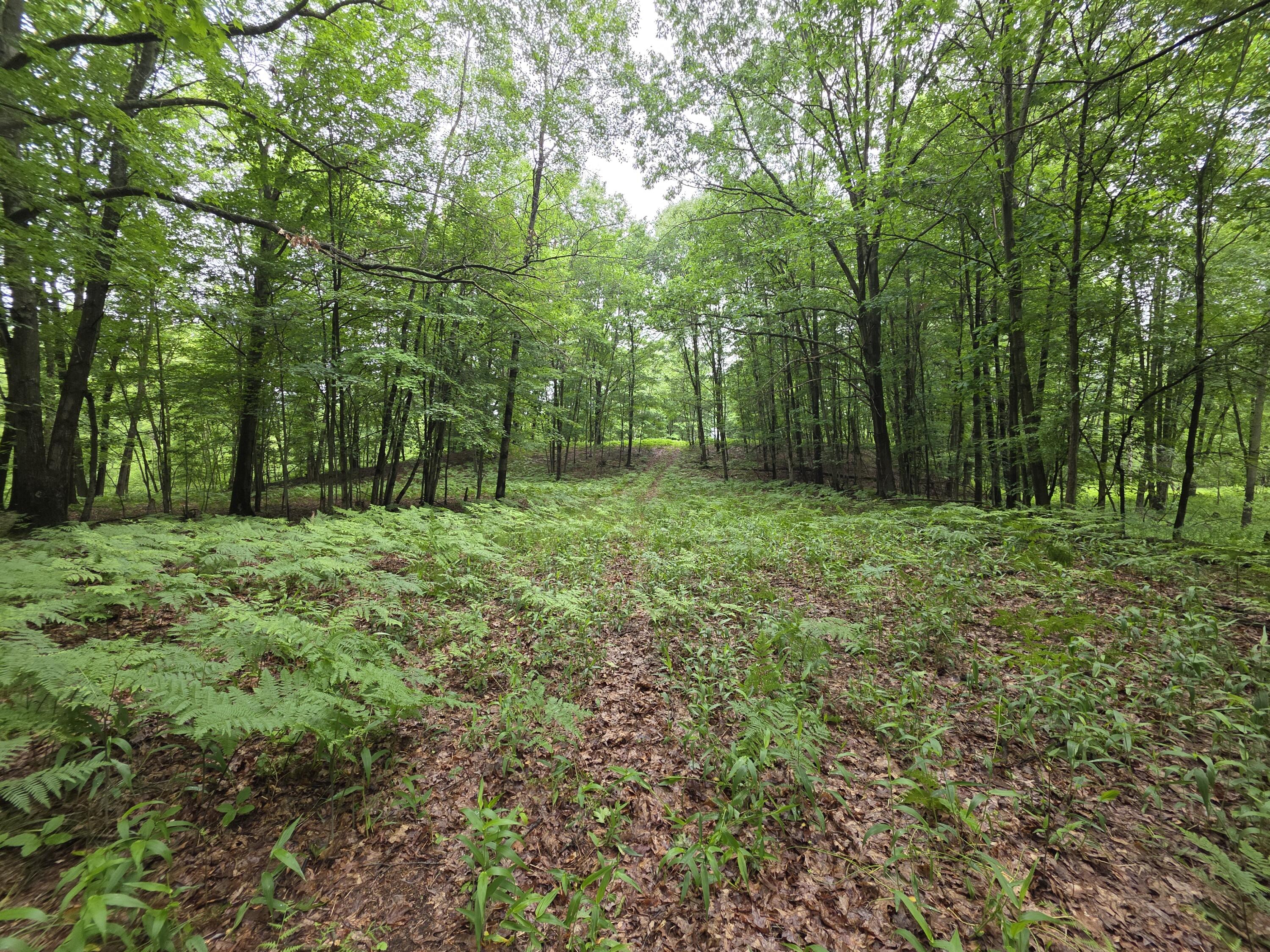 Madison Road Hesperia, MI 49421 - Photo 17 of 21 1000056966