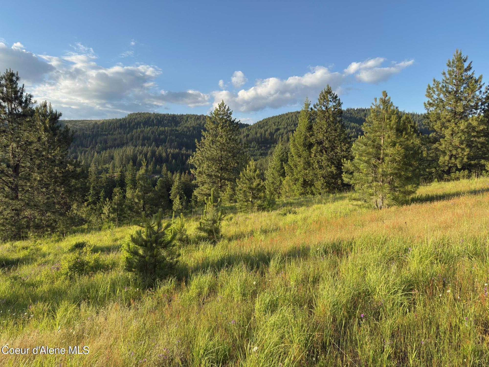 Nna Windfall Pass Road St. Maries, ID 83861 - Photo 10 of 38 200 (2)