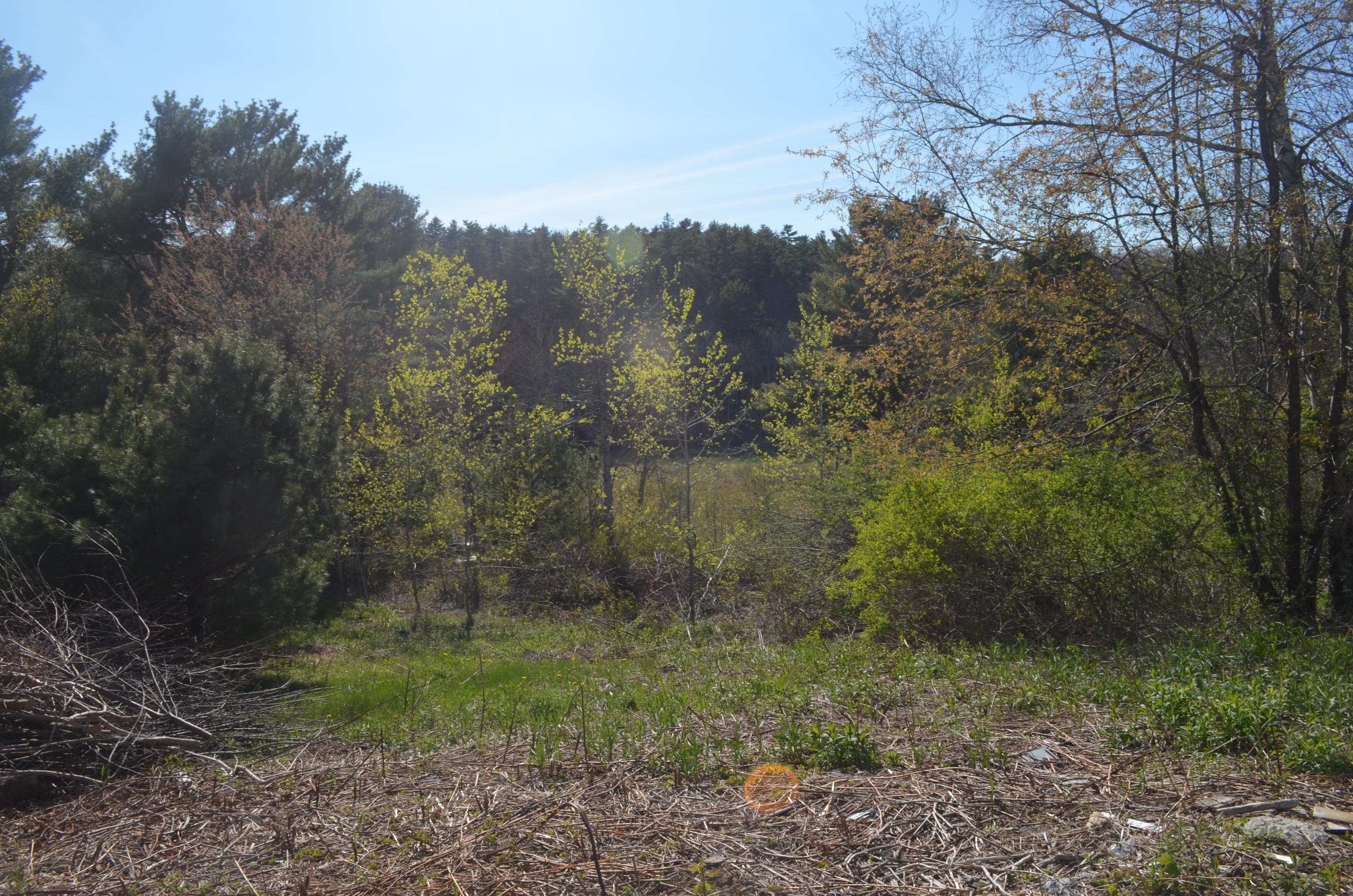 225 Beath Road Boothbay Harbor, ME 04538 - Photo 5 of 23 Spring Back