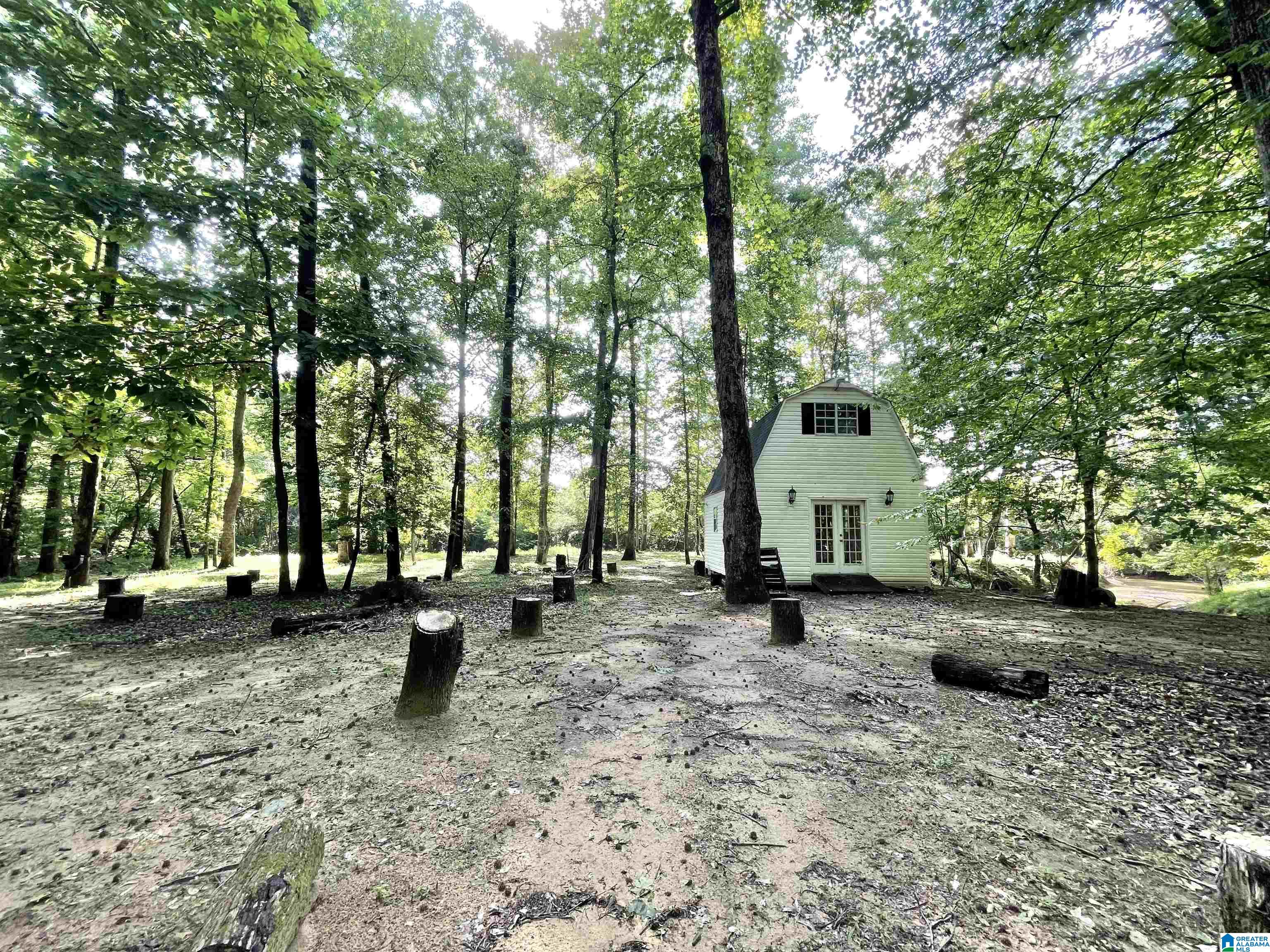 117 Hunset Mill Lane Pelham, AL 35124 - Photo 46 of 59