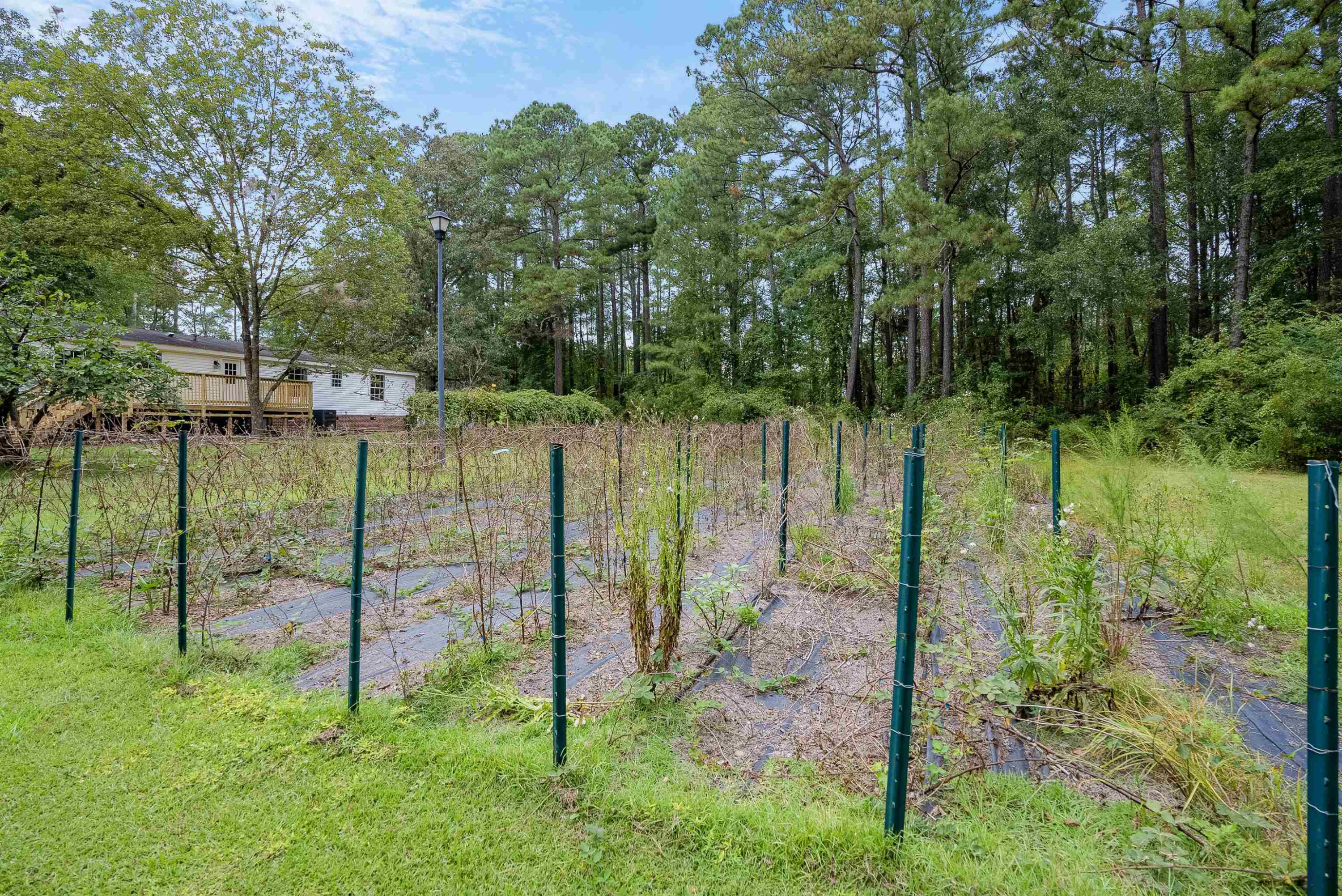 8562 East Reeves Bridge Road Linden, NC 28356 - Photo 34 of 34 Photo 35