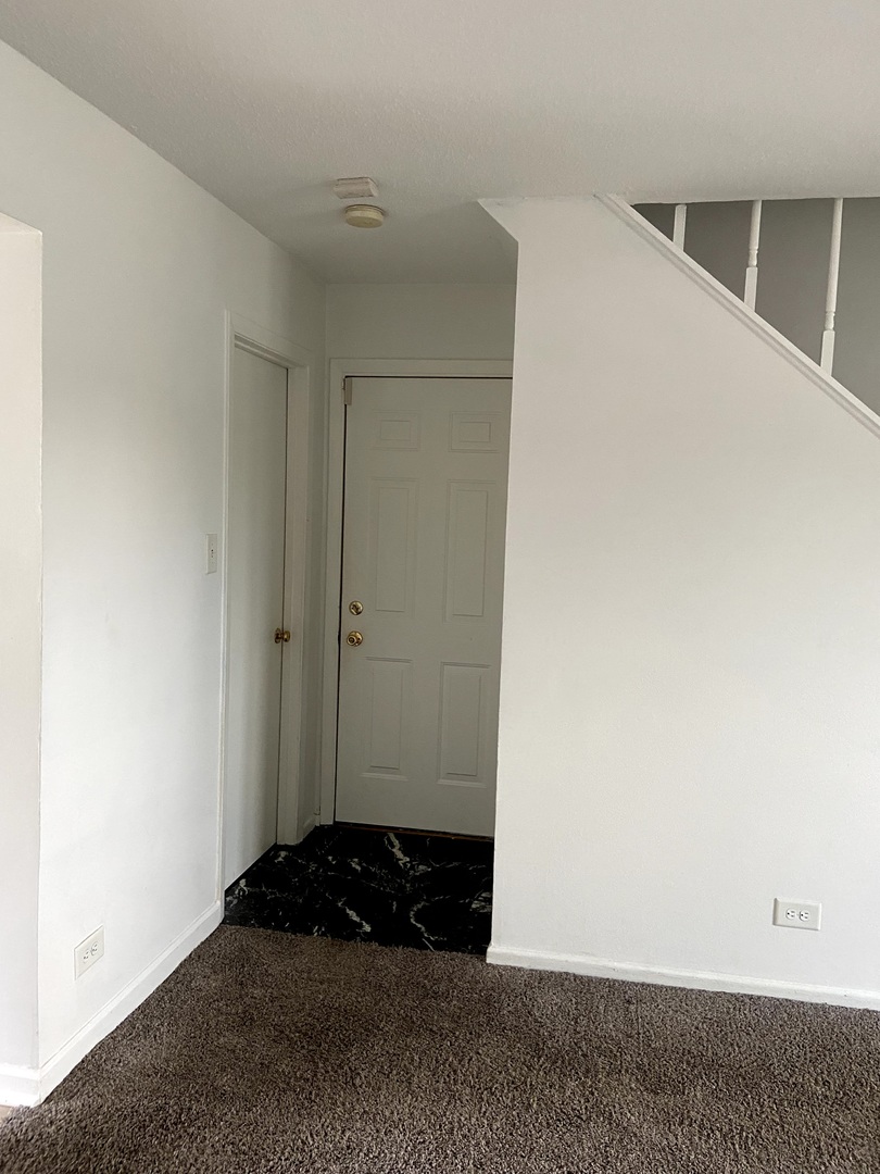 456 Sullivan Circle Bolingbrook, IL 60440 - Photo 11 of 31