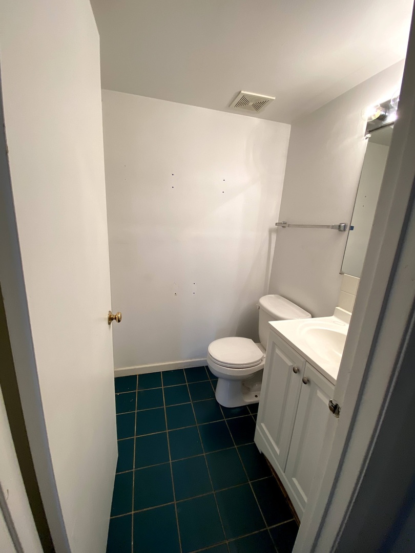 456 Sullivan Circle Bolingbrook, IL 60440 - Photo 13 of 31