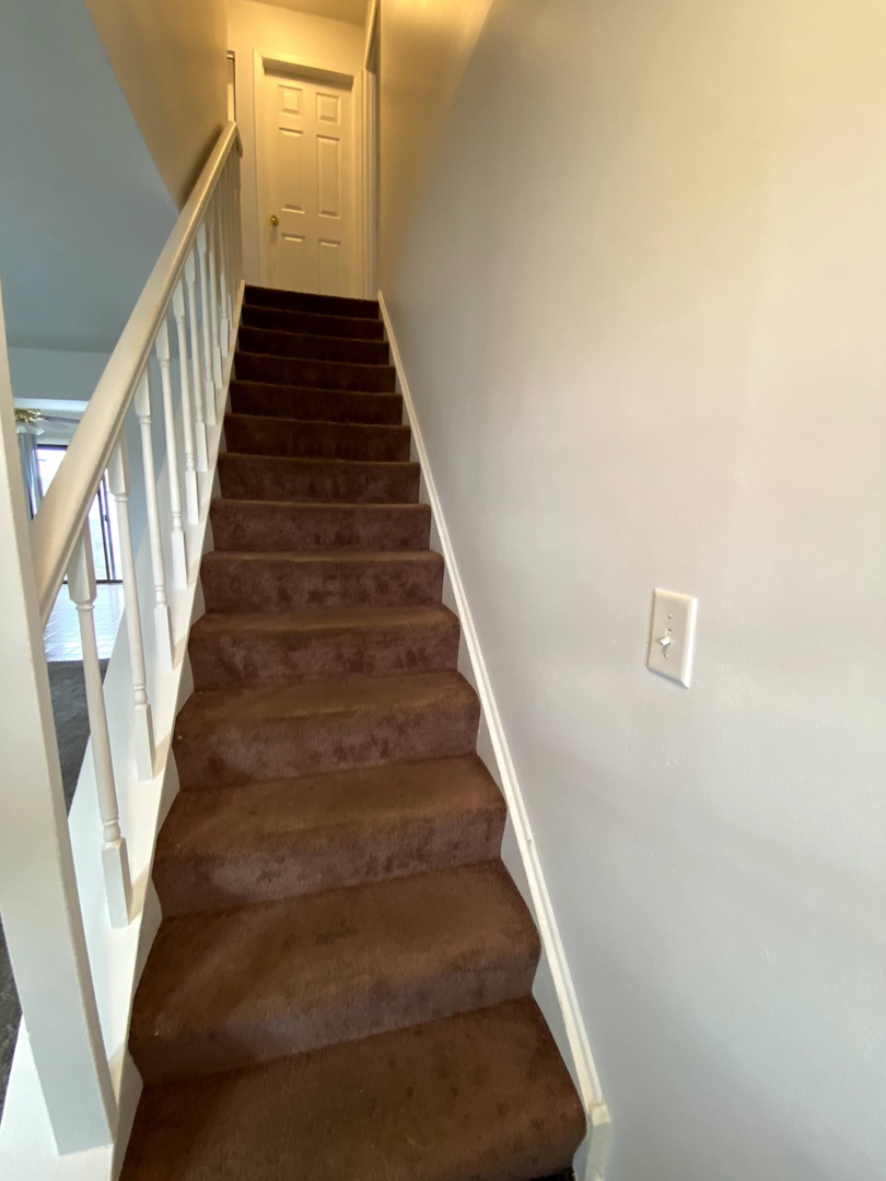 456 Sullivan Circle Bolingbrook, IL 60440 - Photo 14 of 31
