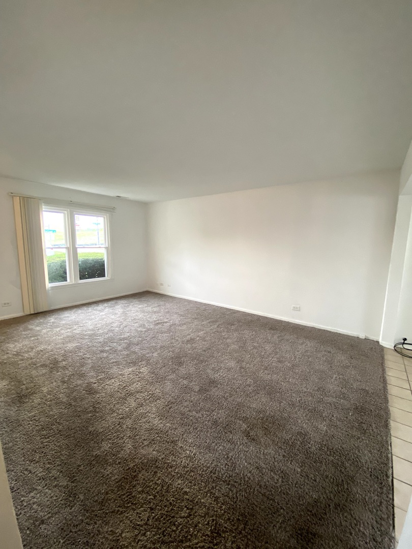 456 Sullivan Circle Bolingbrook, IL 60440 - Photo 5 of 31