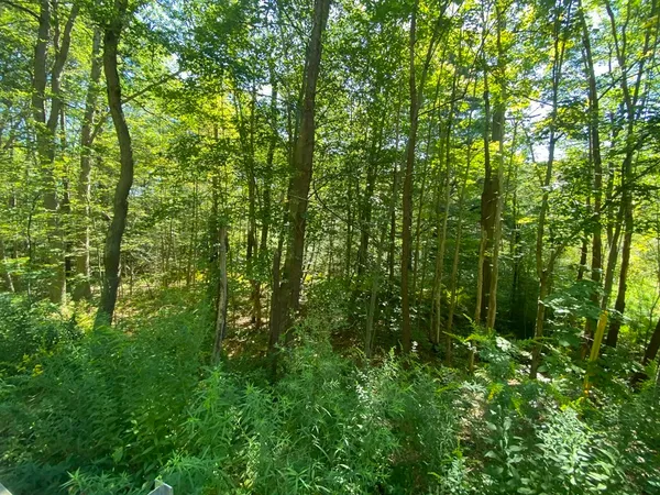 $25,000 | 0 Old State Road, Erving, MA 01344