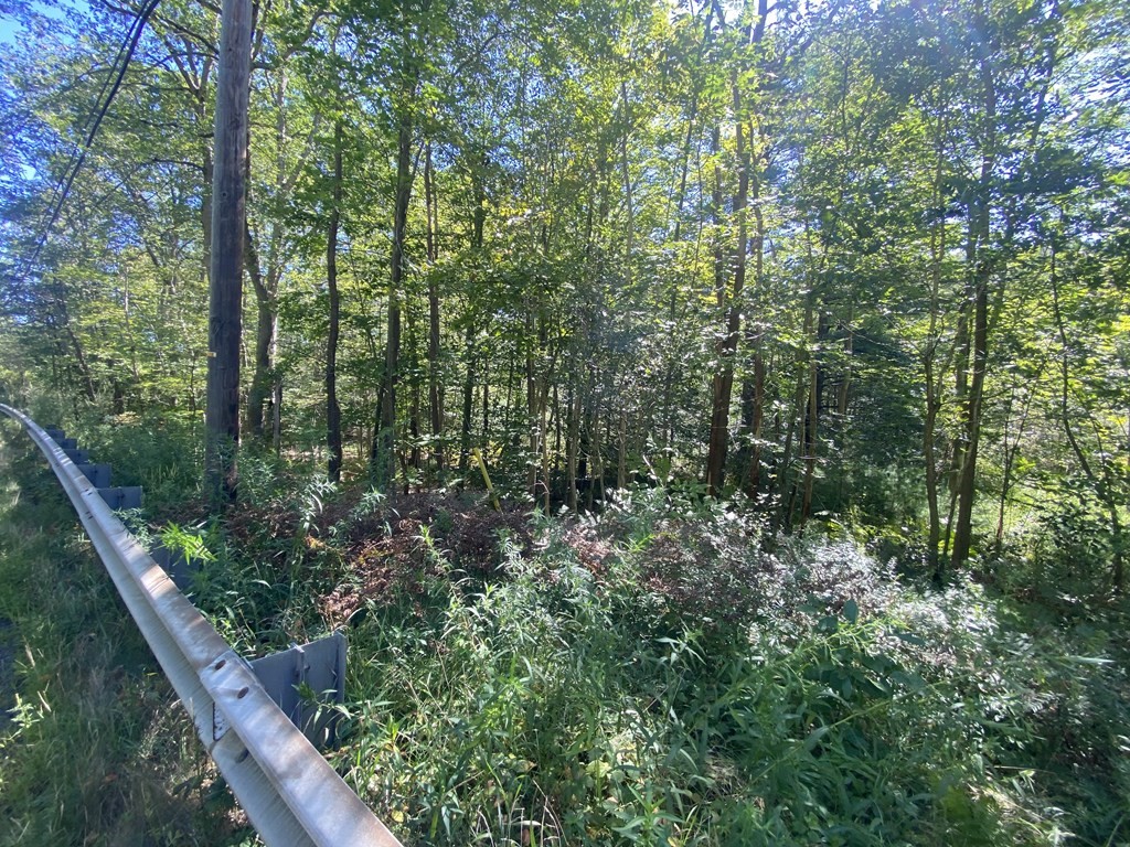 0 Old State Road Erving, MA 01344 - Photo 3 of 4