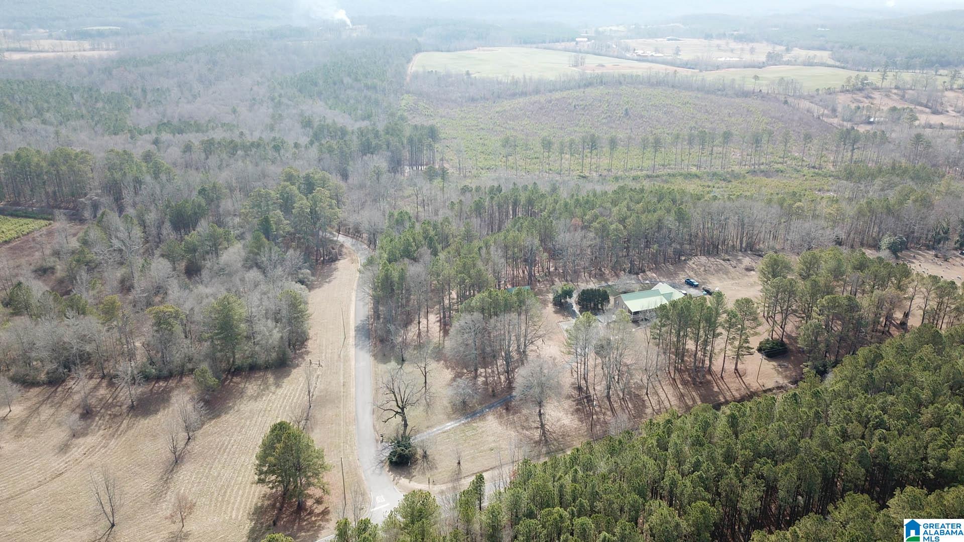 0 Altoona Cutoff Road, Unit 47 5 Oneonta, AL 35121 - Photo 23 of 36