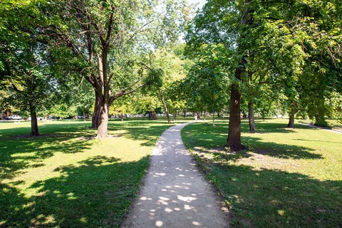 a view of a park with tree s