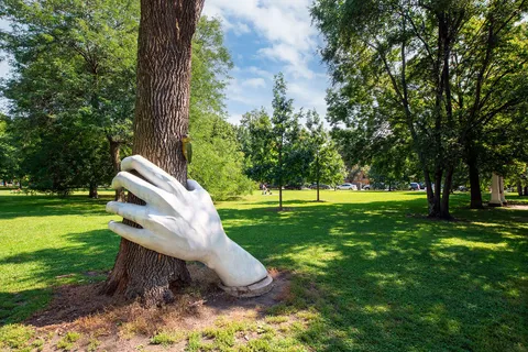 a view of a garden with trees