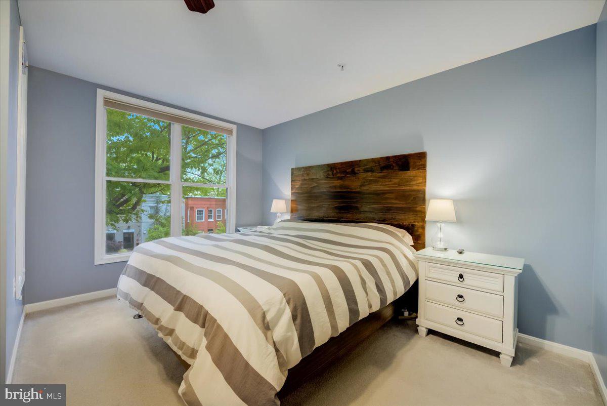 251 14th Street Southeast, Unit A Washington, DC 20003 - Photo 19 of 35