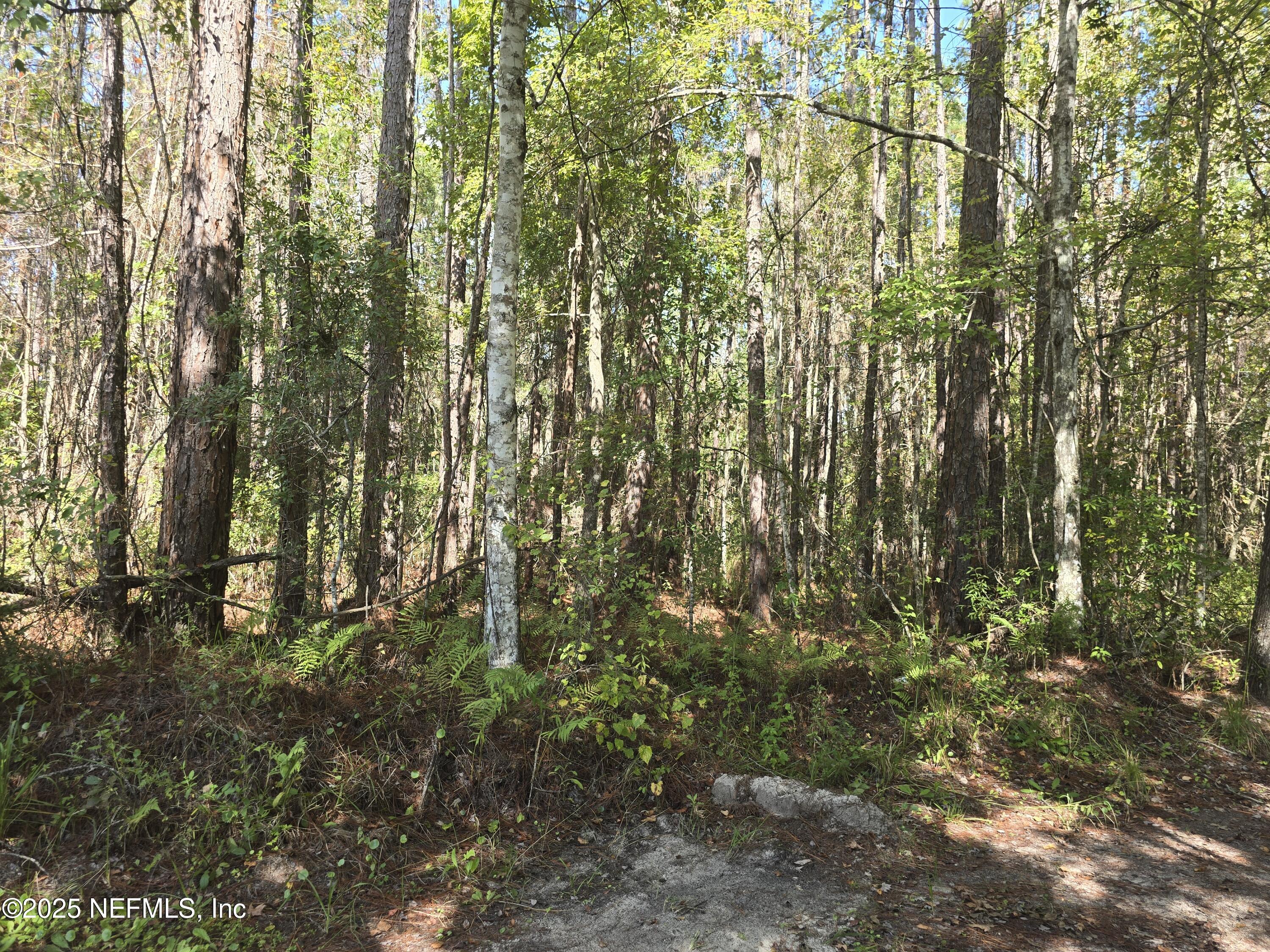 0 Mc Laurin Road East Jacksonville, FL 32256 - Photo 4 of 6 20251021_114108