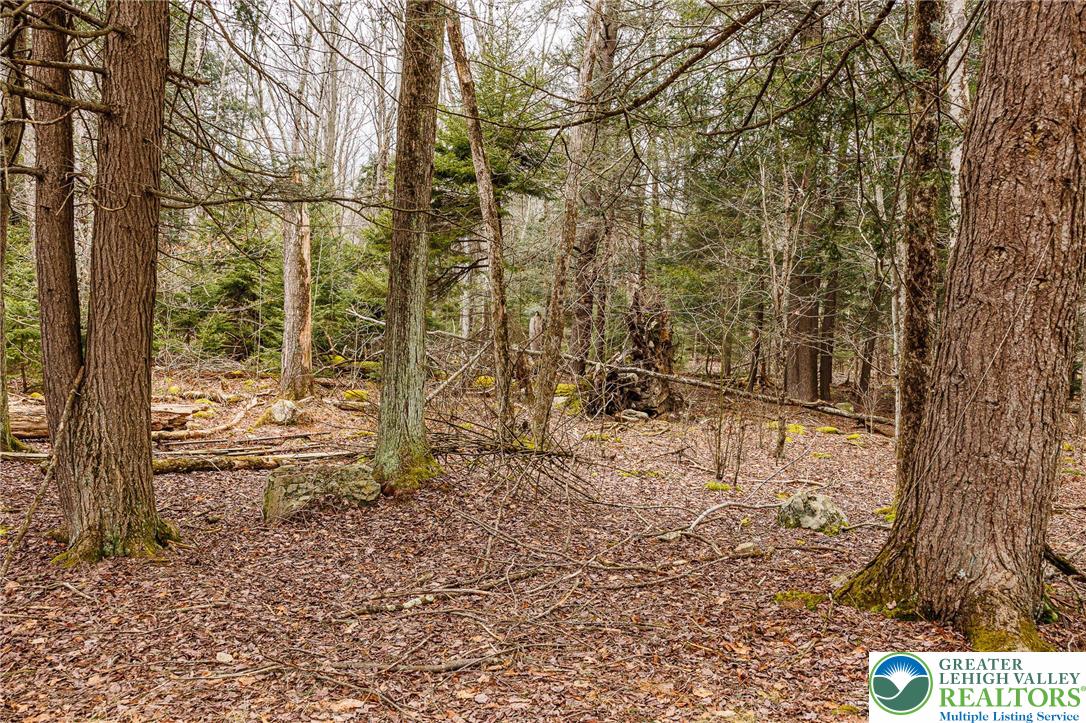 5211 Fir Lane Pocono Summit, PA 18346 - Photo 29 of 38 a backyard of a house with lots of green space