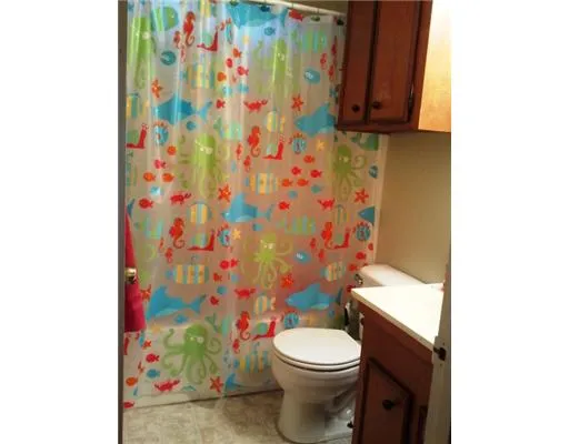 a white toilet sitting next to a shower curtain