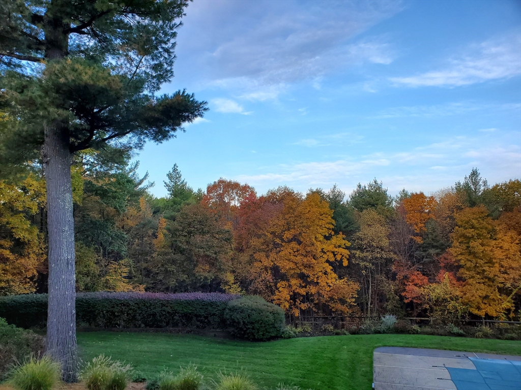 1090 North Road Carlisle, MA 01741 - Photo 38 of 42