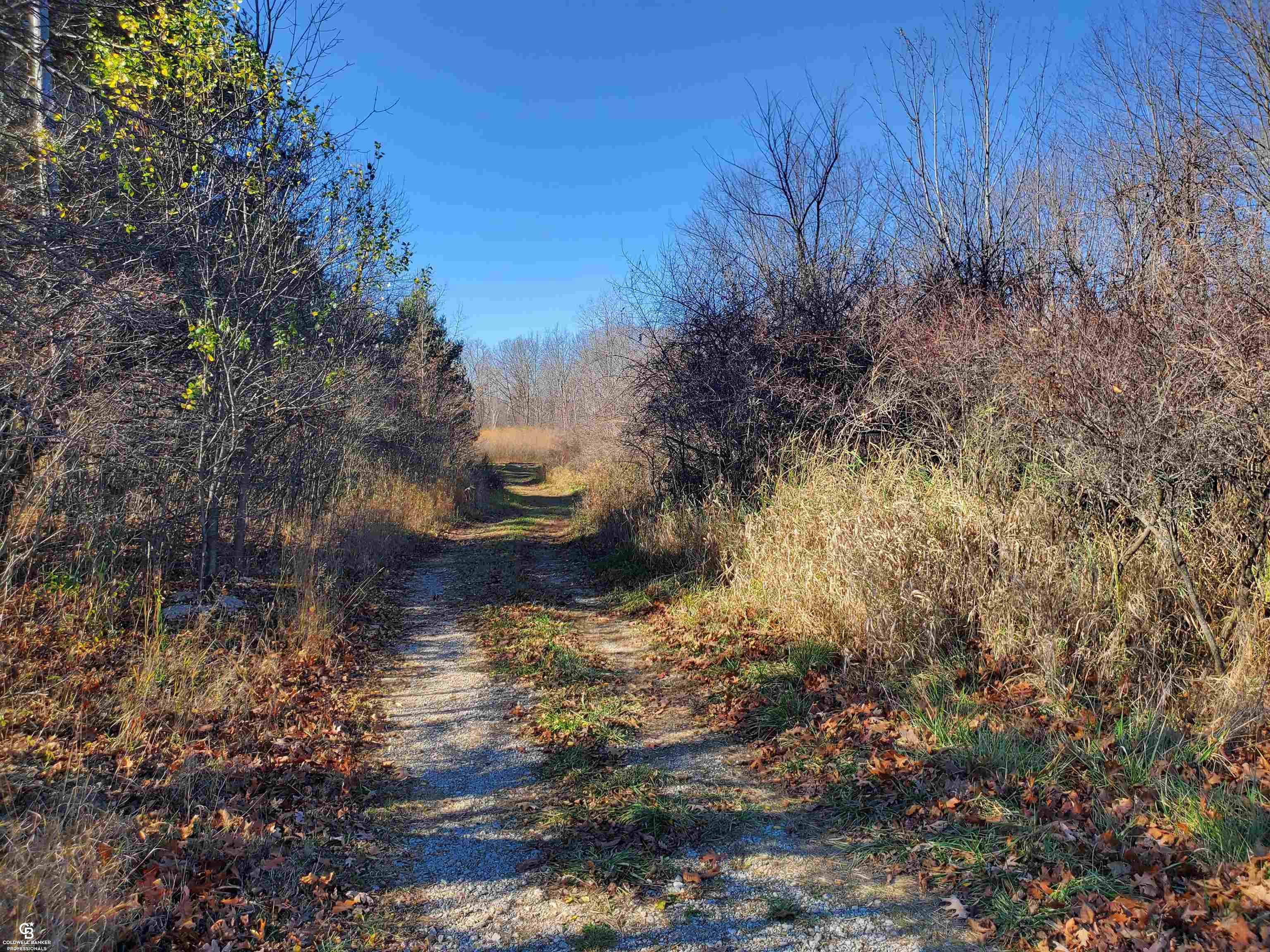 Mason Rd Ville Yale, MI 48097 - Photo 1 of 21