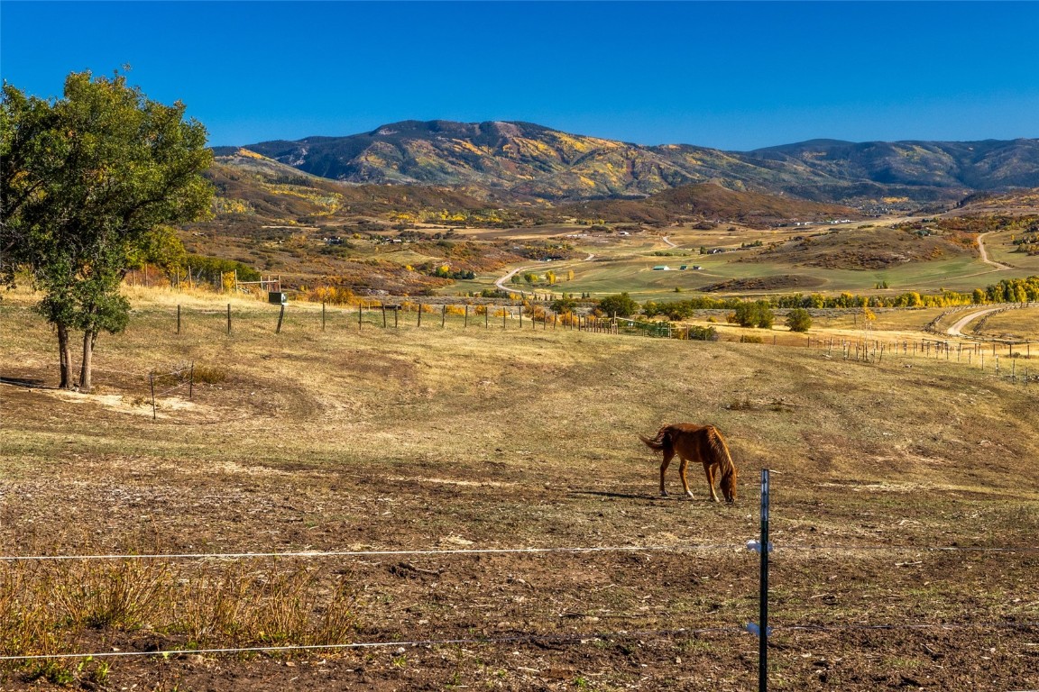 44300 Diamondback Way Steamboat Springs, CO 80487 - Photo 47 of 49