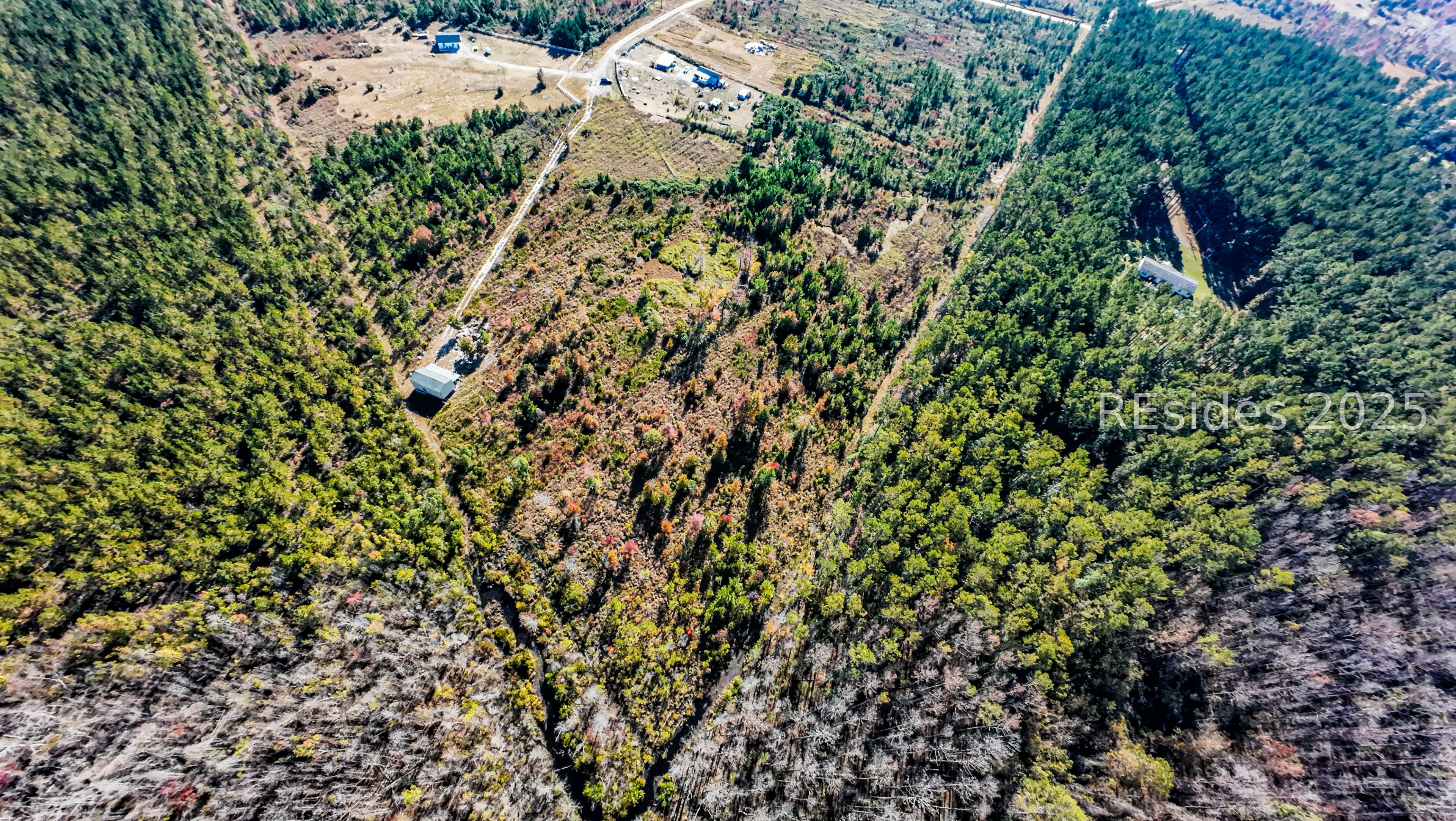 51 Willys Way Early Branch, SC 29916 - Photo 2 of 5