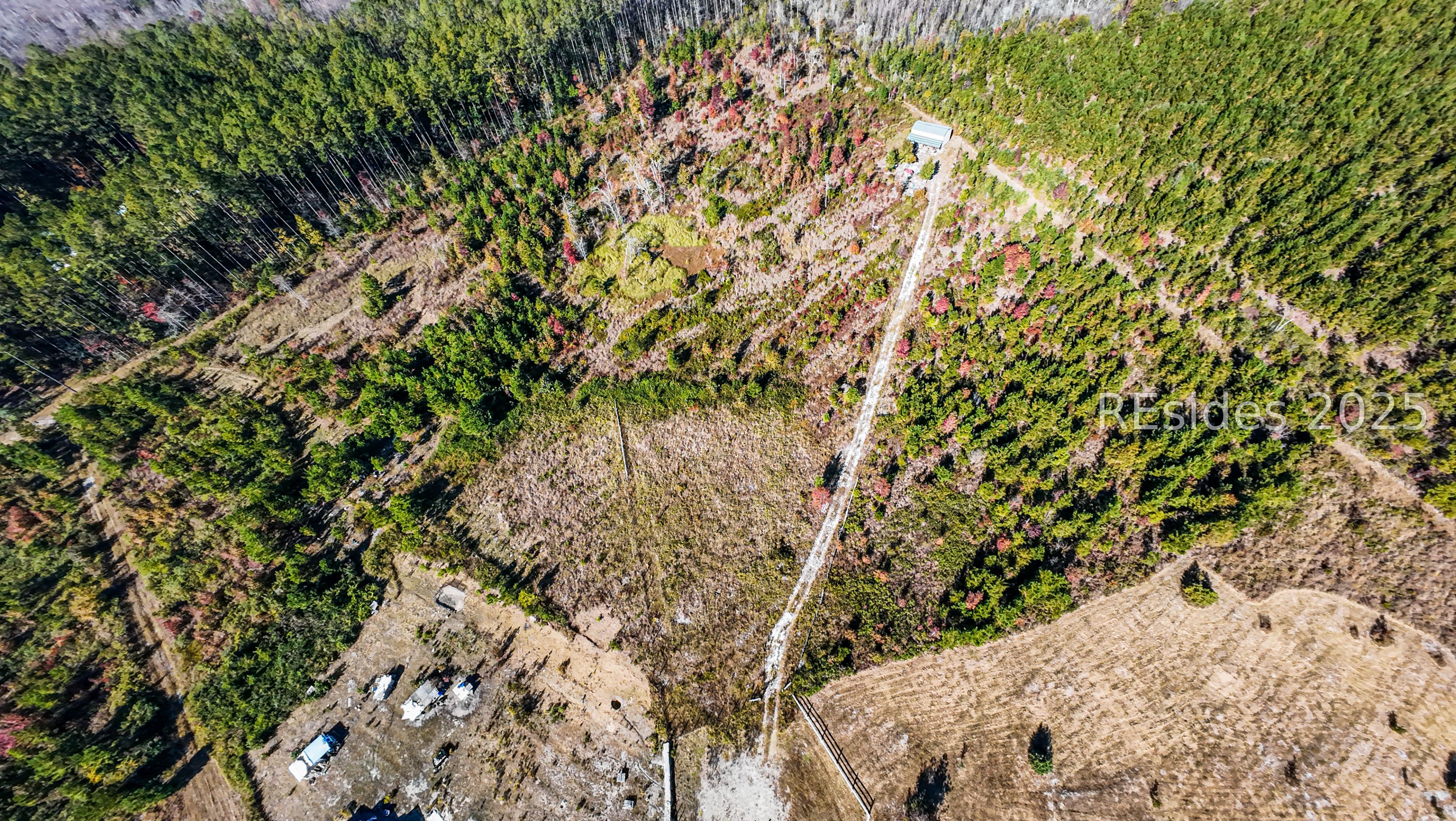 51 Willys Way Early Branch, SC 29916 - Photo 3 of 5