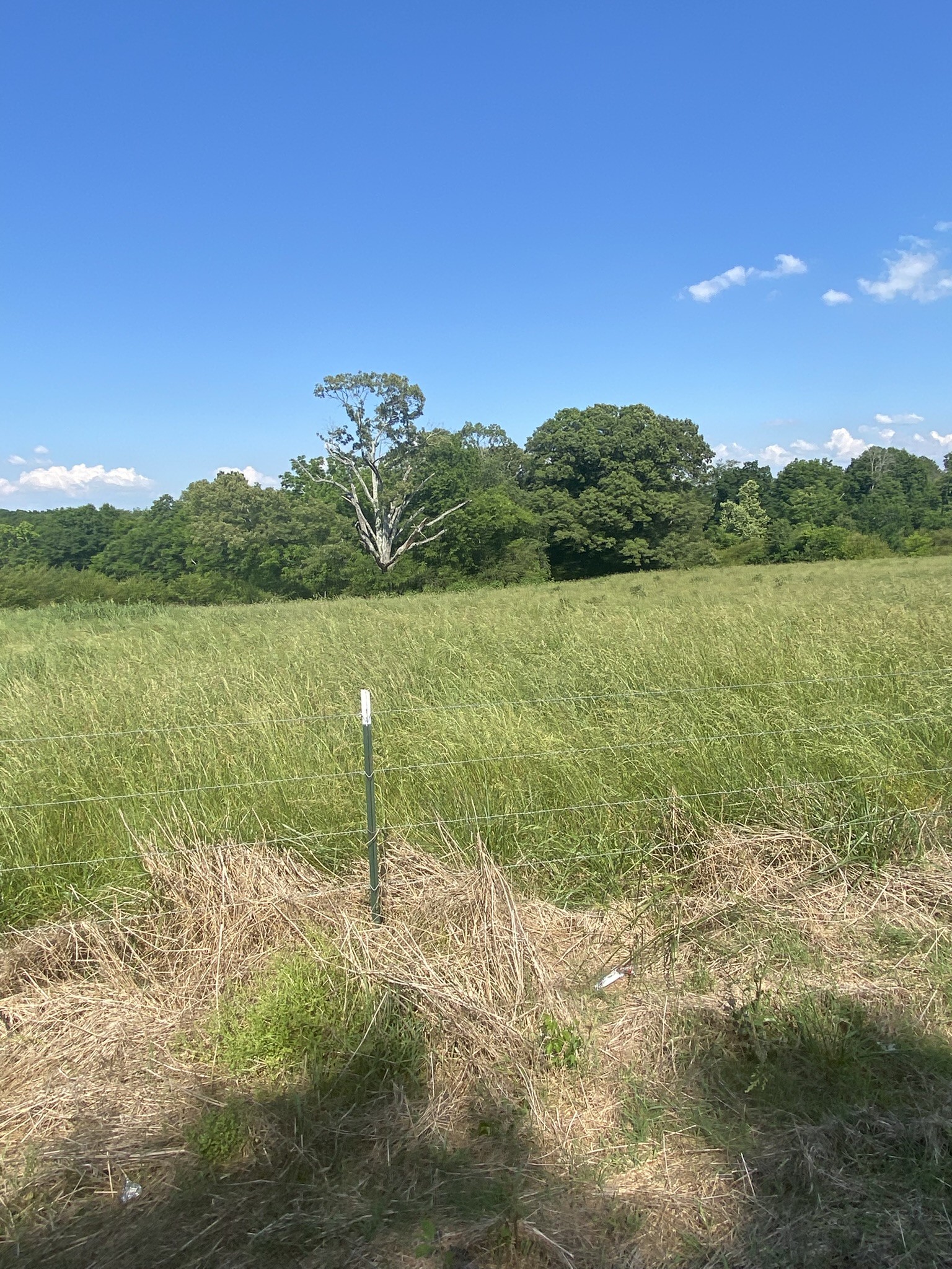 656 County Road Anderson, AL 35610 - Photo 10 of 15 a view of lake with green space