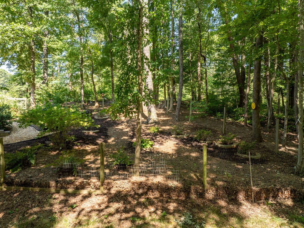 620 Hood Road Talking Rock, GA 30175 - Photo 54 of 60
