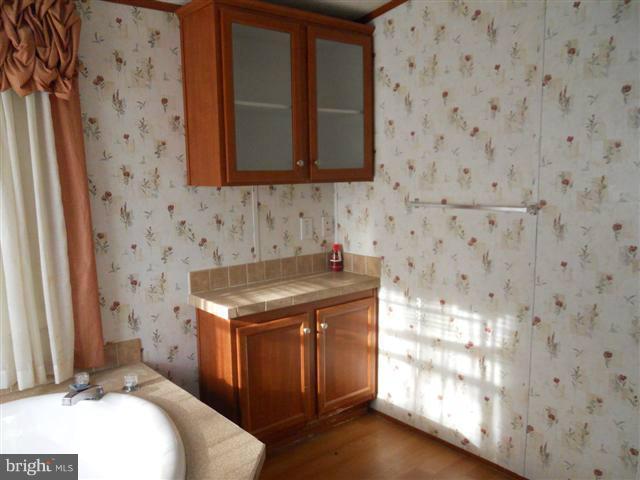 13142 Goldizen Lane Clear Spring, MD 21722 - Photo 14 of 18 Bath (Master)