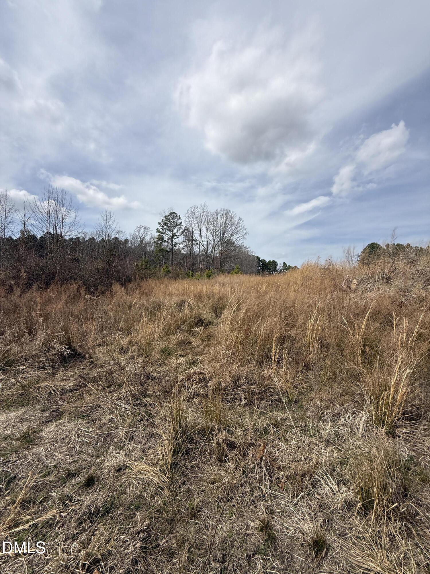 0 Instrument Drive Rocky Mount, NC 27804 - Photo 13 of 20 a view of lake with mountain