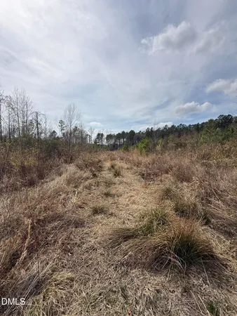 a backyard of a house with large trees