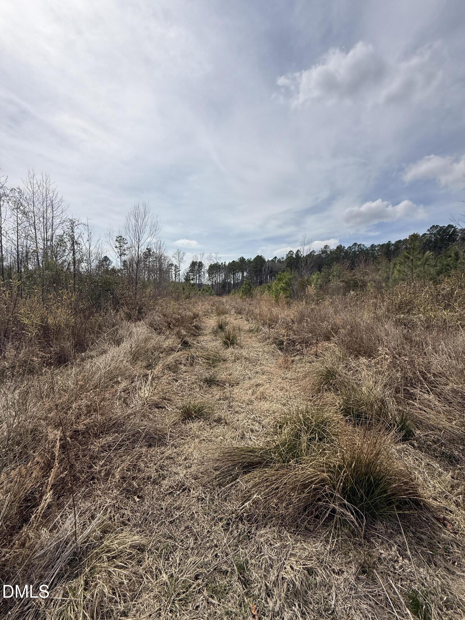 0 Instrument Drive Rocky Mount, NC 27804 - Photo 14 of 20 a view of a lake