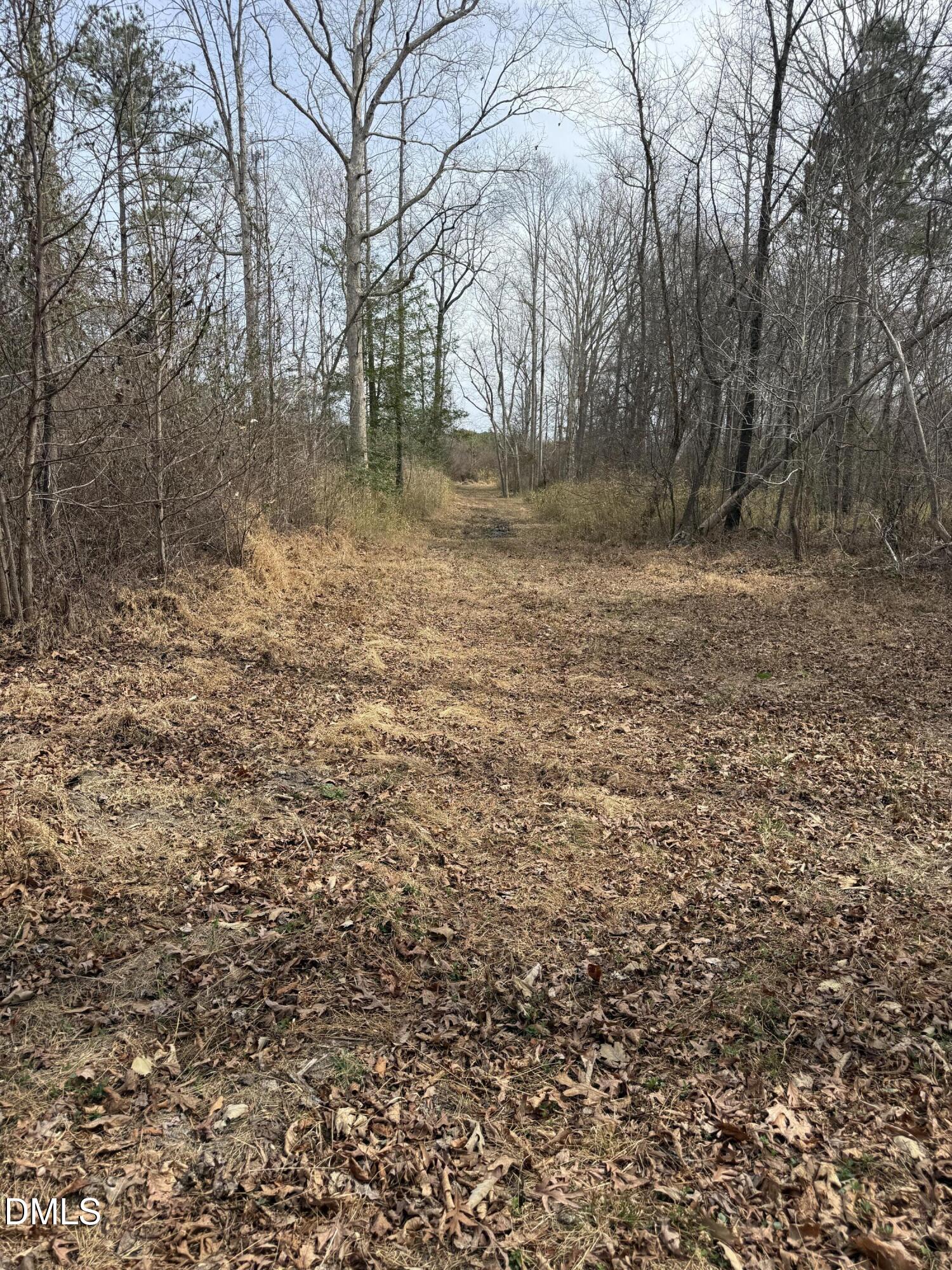 0 Instrument Drive Rocky Mount, NC 27804 - Photo 15 of 20 a backyard of a house with large trees