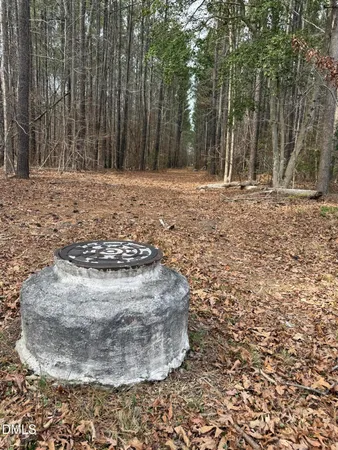 a view of a dry yard with trees