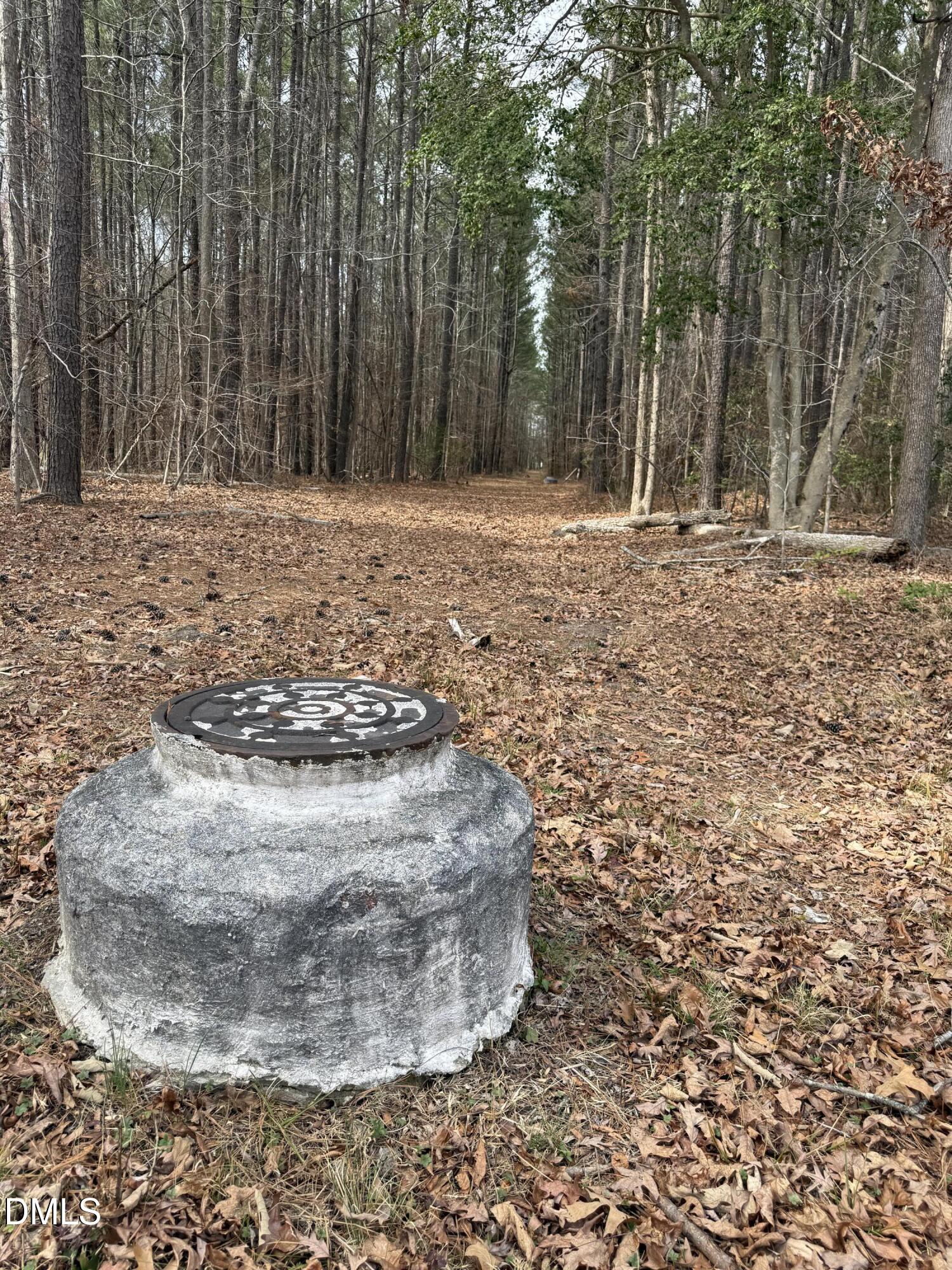 0 Instrument Drive Rocky Mount, NC 27804 - Photo 16 of 20 a view of outdoor space with trees