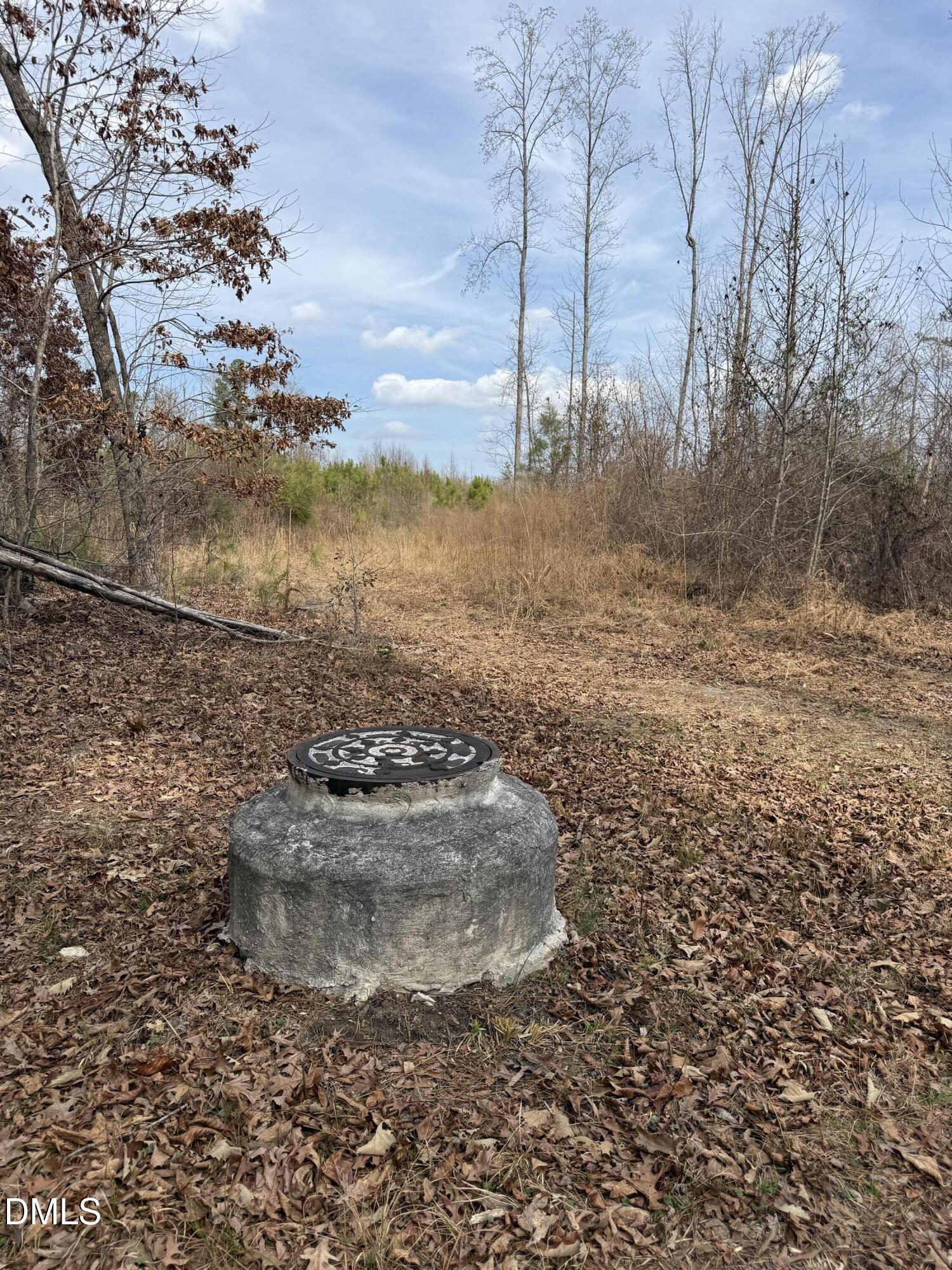 0 Instrument Drive Rocky Mount, NC 27804 - Photo 17 of 20 a view of a dry yard with trees