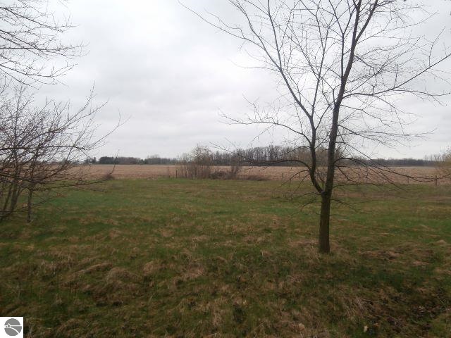 9300 West Huff Road Elsie, MI 48831 - Photo 7 of 8 1783338-6.JPG