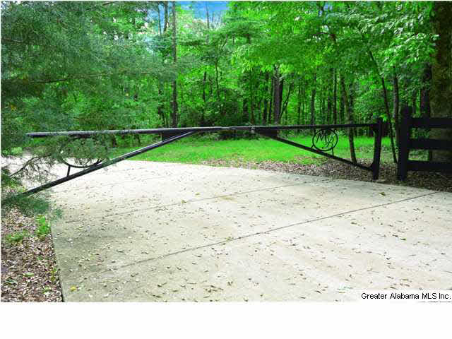 131 Lake Ridge Lane Wedowee, AL 36278 - Photo 3 of 25
