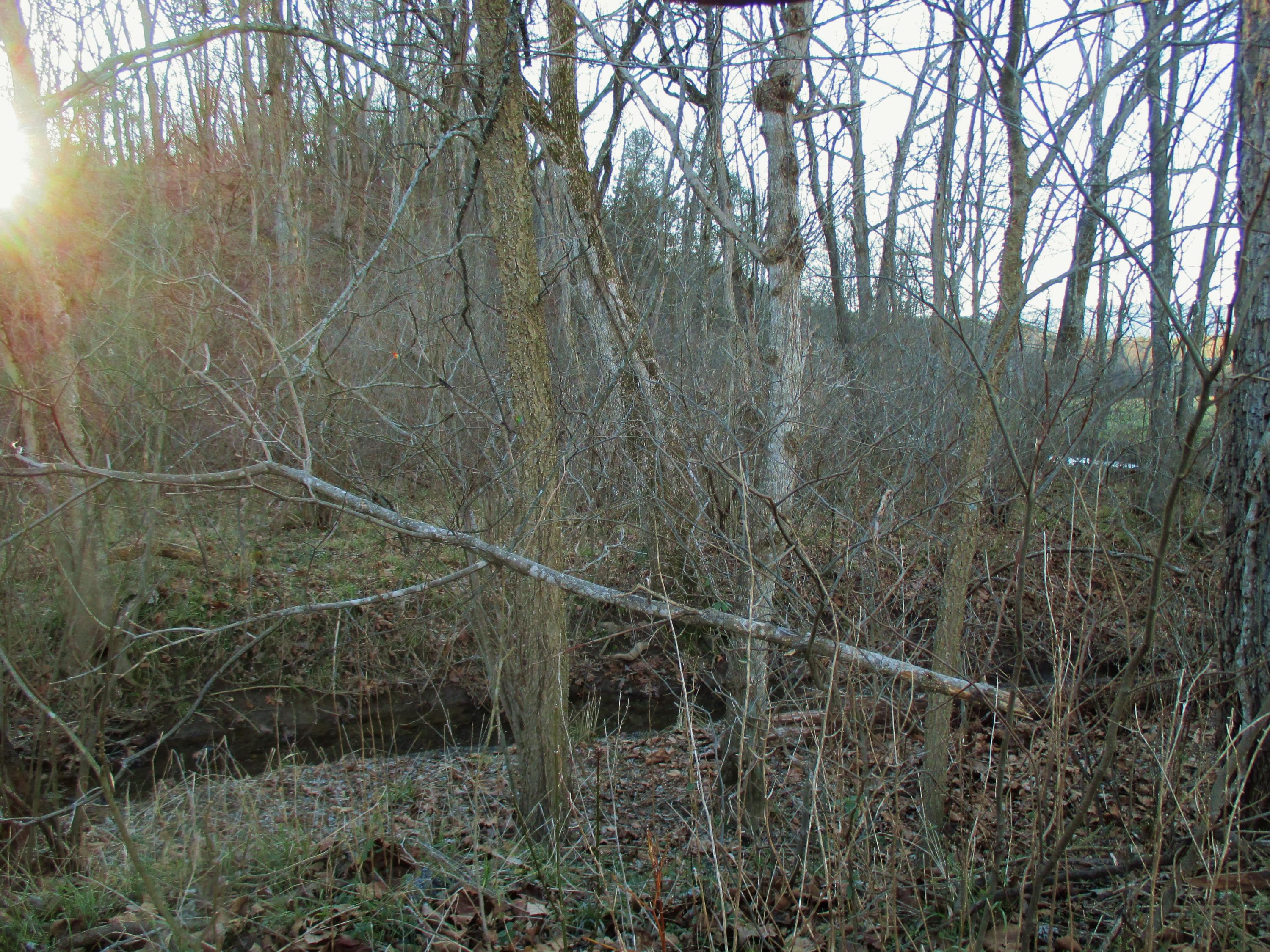 B2 Breckinridge Mill Road Fincastle, VA 24090 - Photo 2 of 8 Breckinridge Mill Rd 2