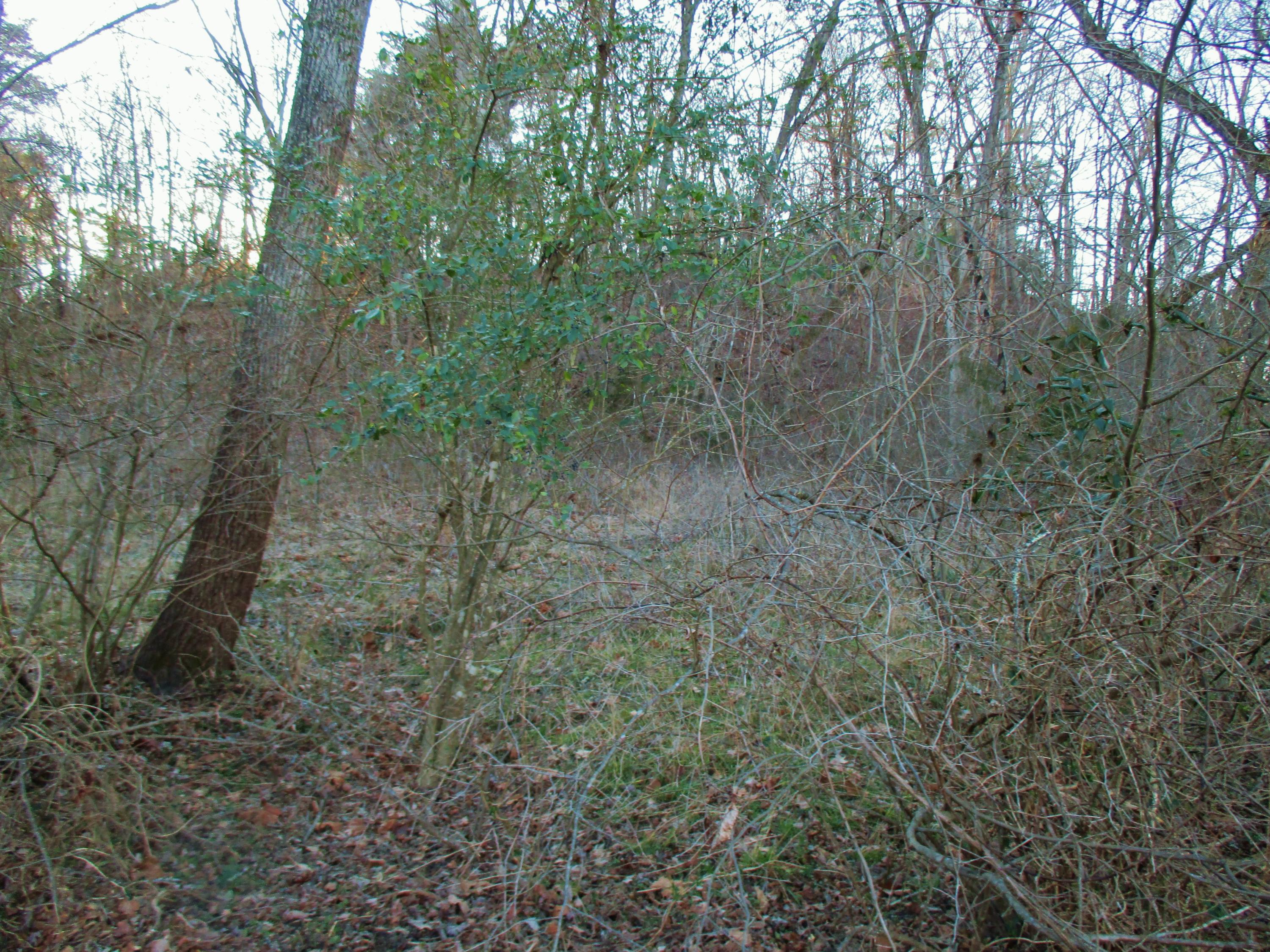 B2 Breckinridge Mill Road Fincastle, VA 24090 - Photo 6 of 8 Breckinridge Mill Rd 6