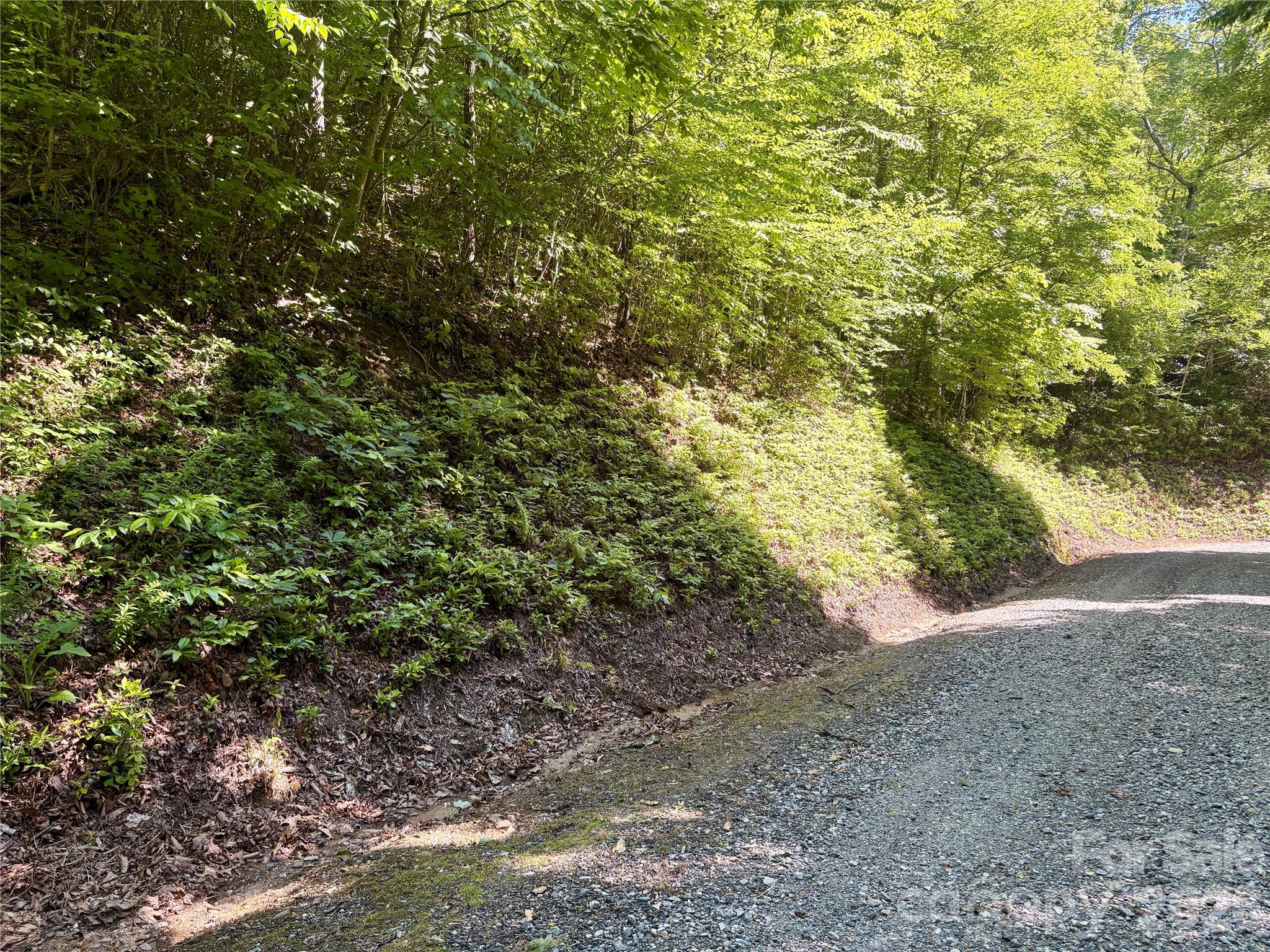 0 Middle Ridge, Unit 38 Whittier, NC 28789 - Photo 2 of 6