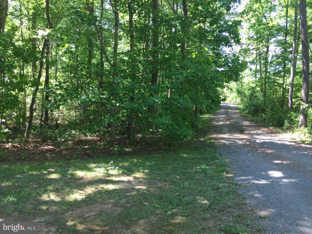 12861 Elk Run Road Midland, VA 22728 - Photo 27 of 30 View of the driveway