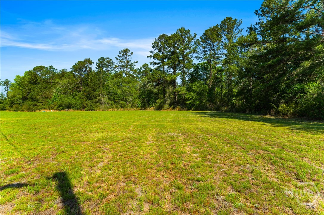 3383 Mill Branch Club Road Pembroke, GA 31321 - Photo 29 of 30