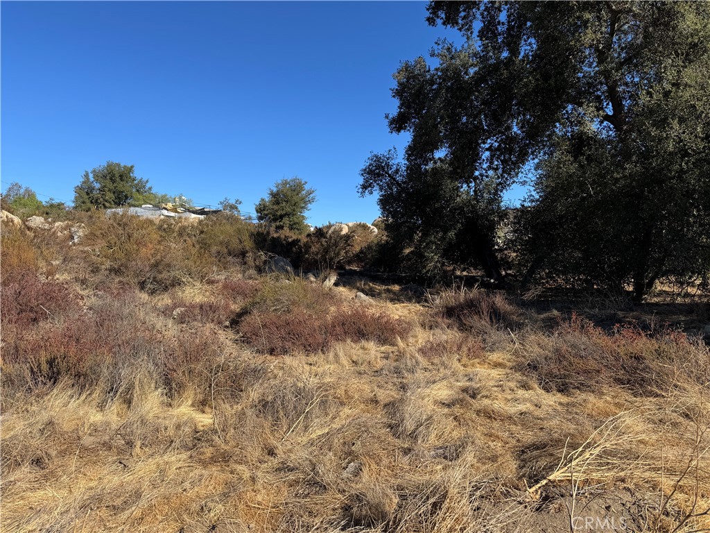 0 Ballinger Road Hemet, CA 92544 - Photo 3 of 9 a view of a yard with a tree