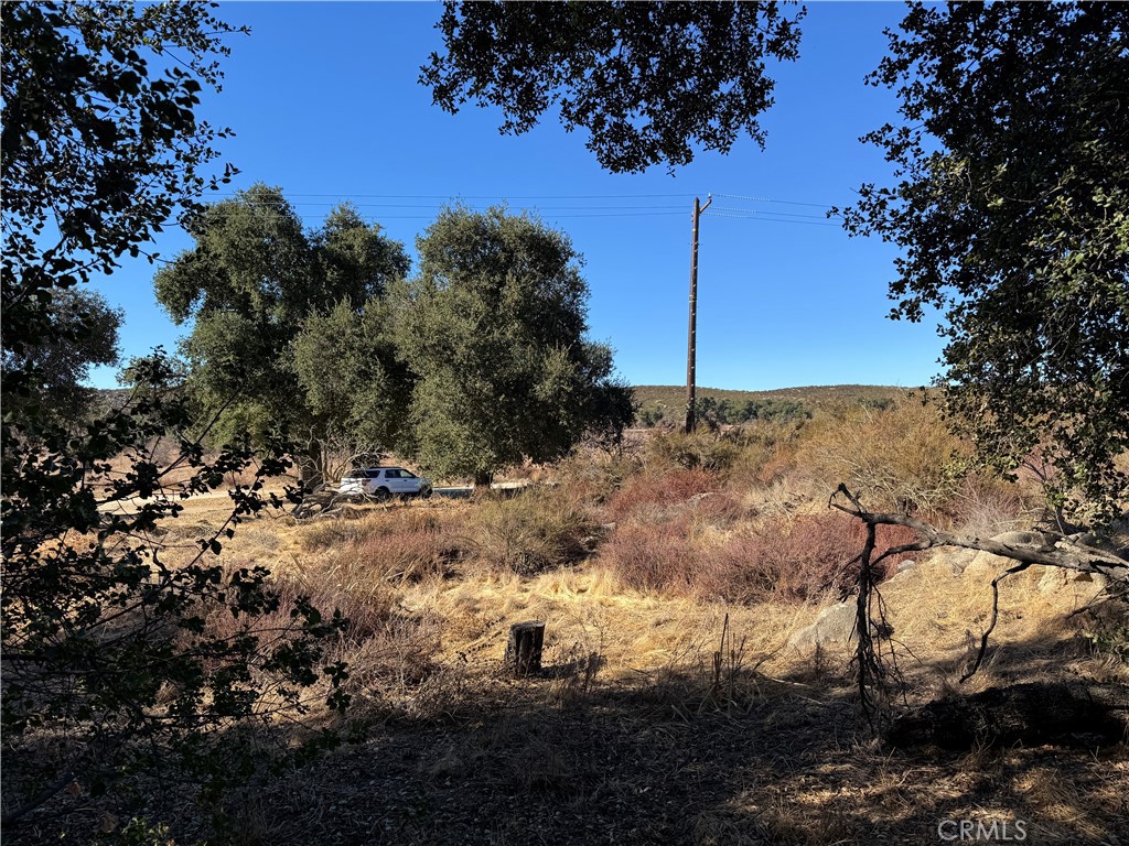 0 Ballinger Road Hemet, CA 92544 - Photo 4 of 9 a view of a tree with a yard