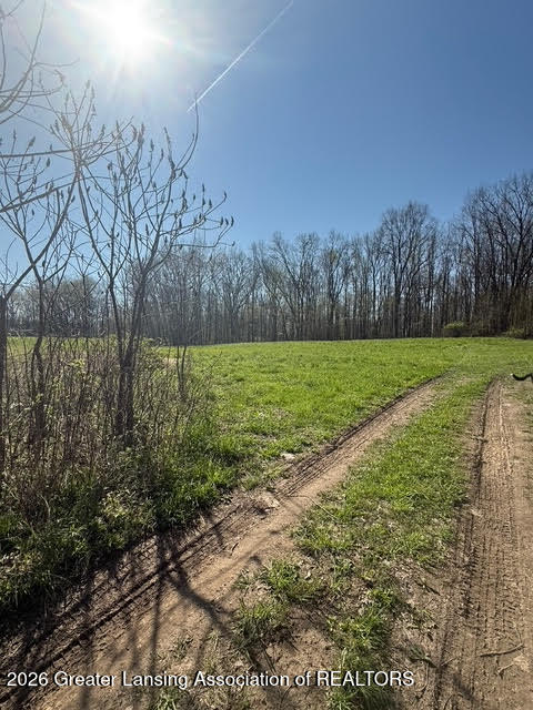 0 27 27 Mile Road Albion, MI 49224 - Photo 45 of 47 8