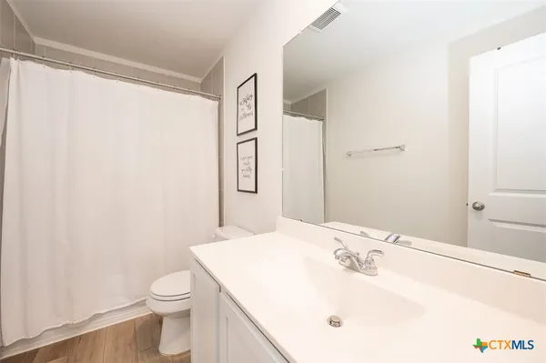 a bathroom with a sink a toilet and shower curtain