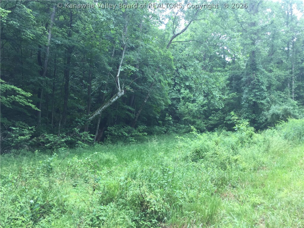 0 Beech Hill Road Poca, WV 25159 - Photo 9 of 10 Gallery Image 9