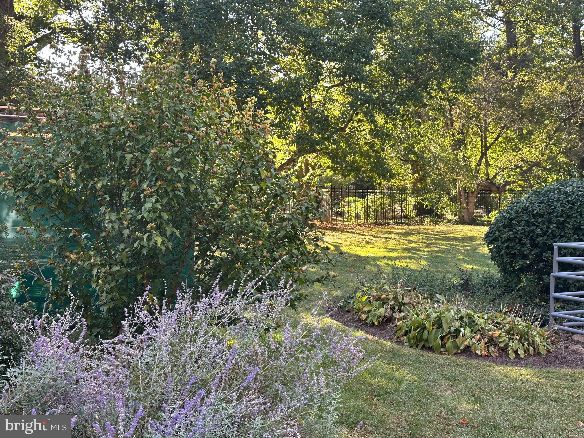 40 Old Lancaster Road, Unit 205 Merion Station, PA 19066 - Photo 31 of 39 Lushly planted landscaping