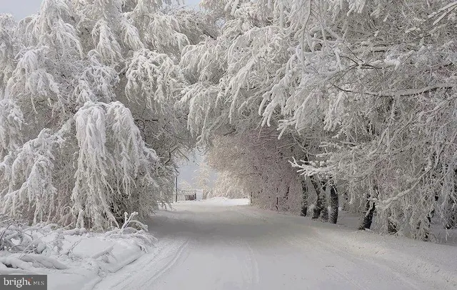 a view of roof and trees