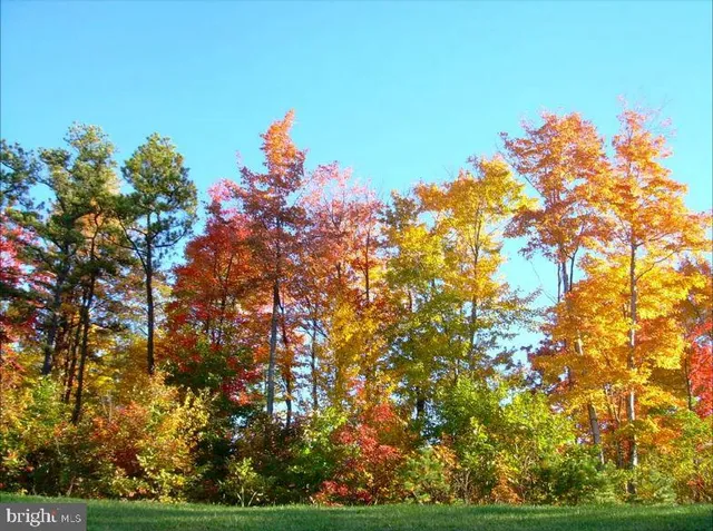 a view of balcony and yard