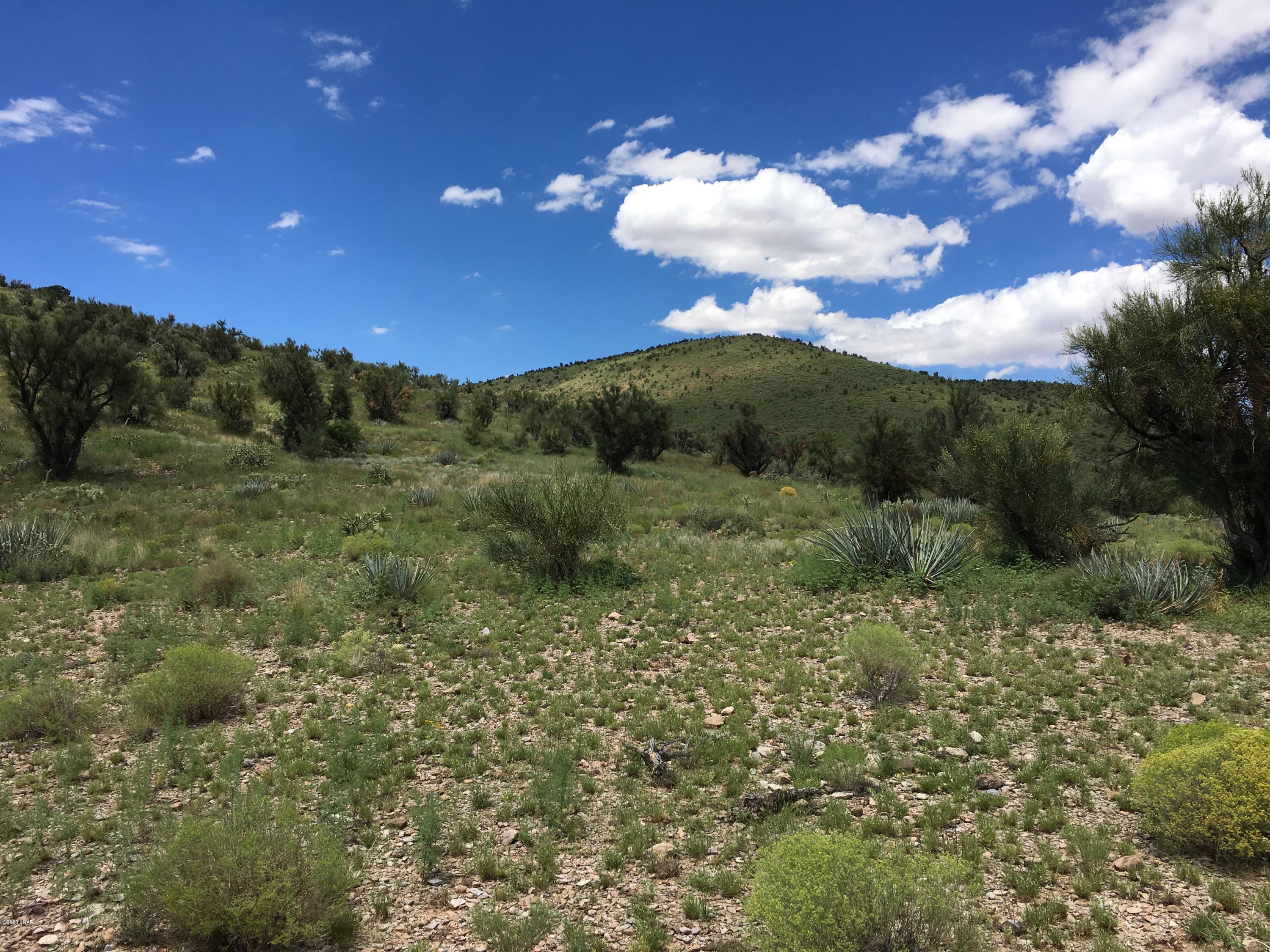 160-acrs Harris Valley Ranch Road Seligman, AZ 86337 - Photo 13 of 33 2017-08-22 12.40.26